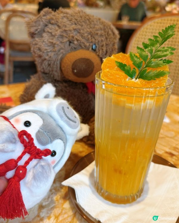 韓風柑橘味，味蕾小驚喜！🍊✨