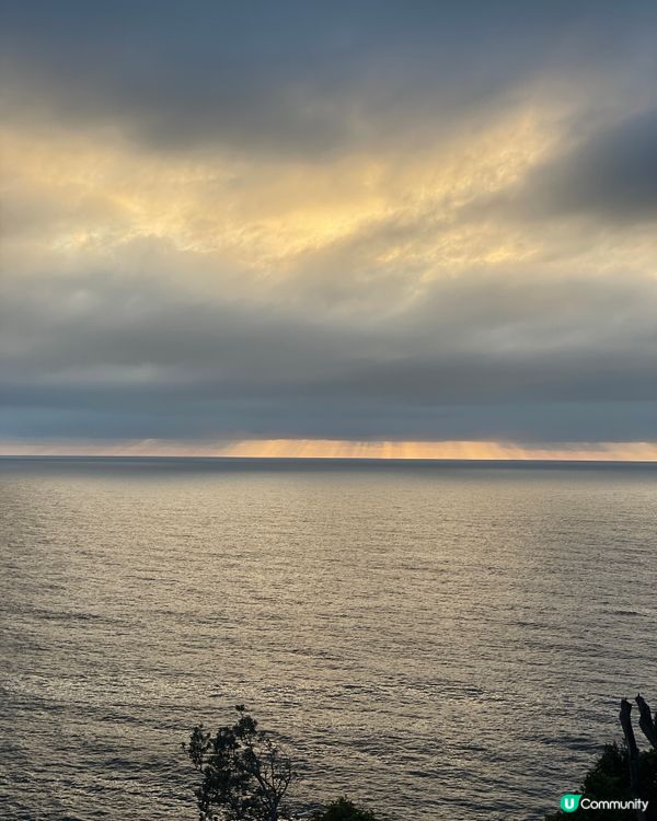 悉尼日出🌅橋上行，靚景唔愁！