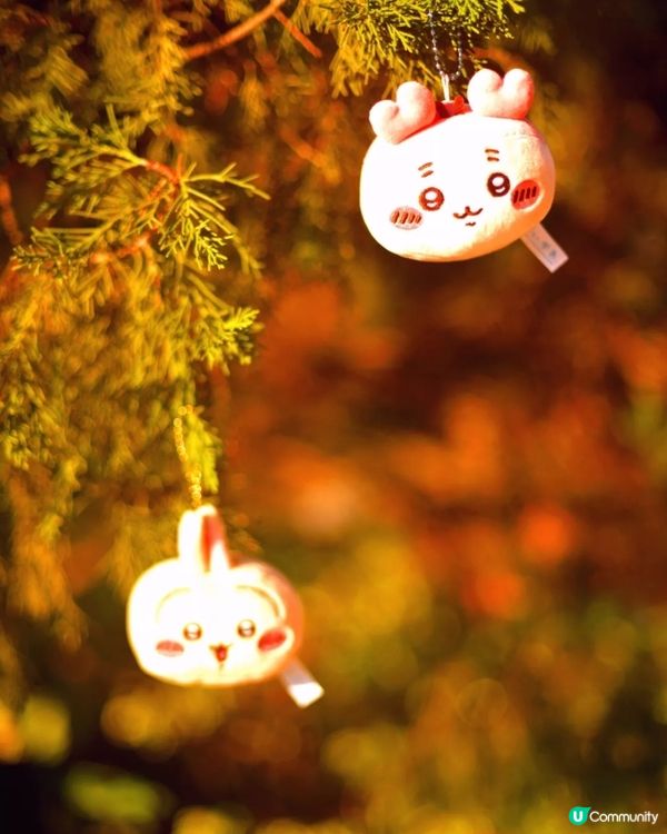 贏到Chiikawa~٩(๑^o^๑)۶開心