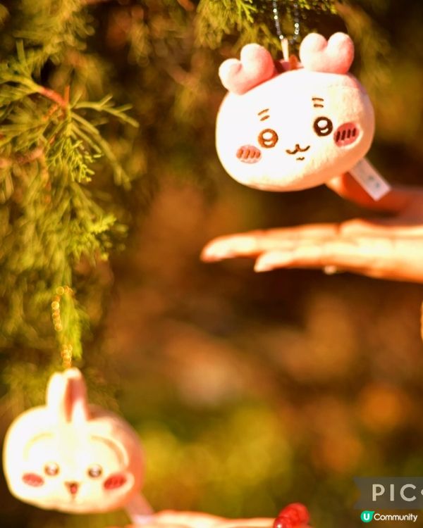 贏到Chiikawa~٩(๑^o^๑)۶開心