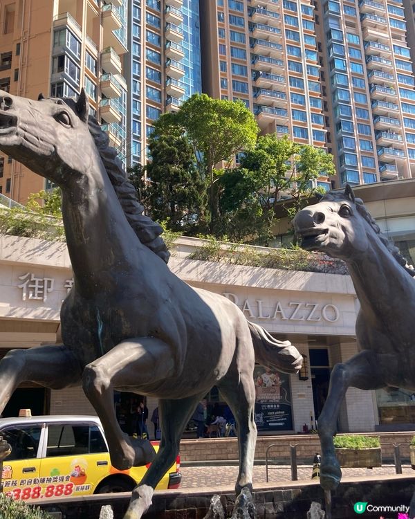 體驗沙田馬場的樂趣