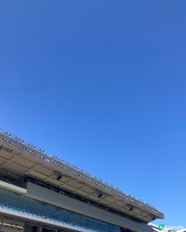體驗沙田馬場的樂趣