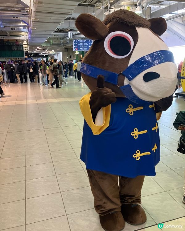 體驗沙田馬場的樂趣