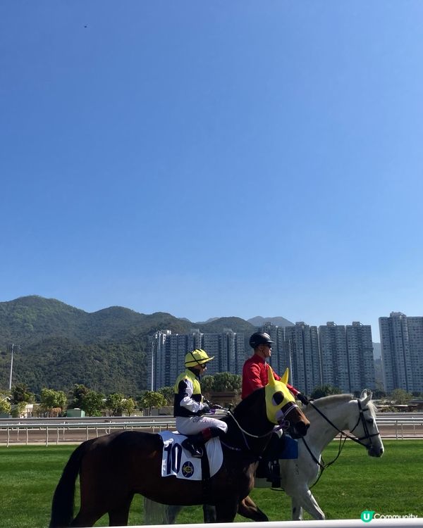 體驗沙田馬場的樂趣