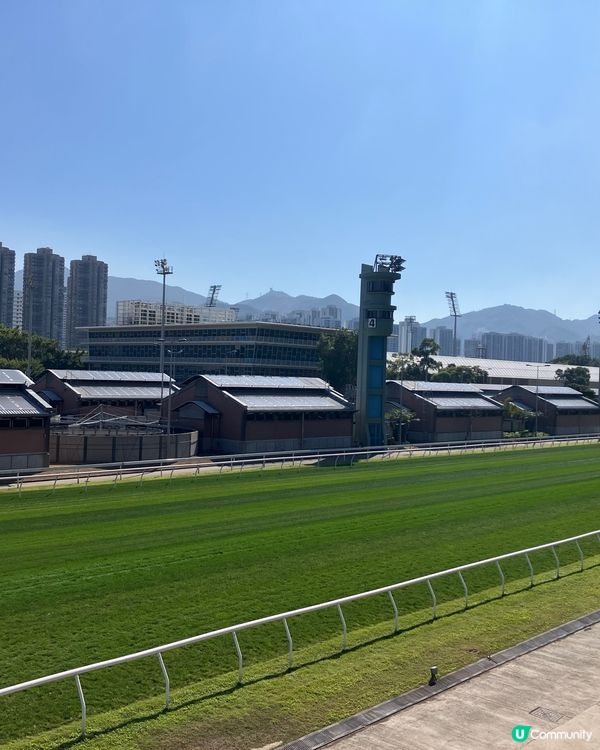 體驗沙田馬場的樂趣