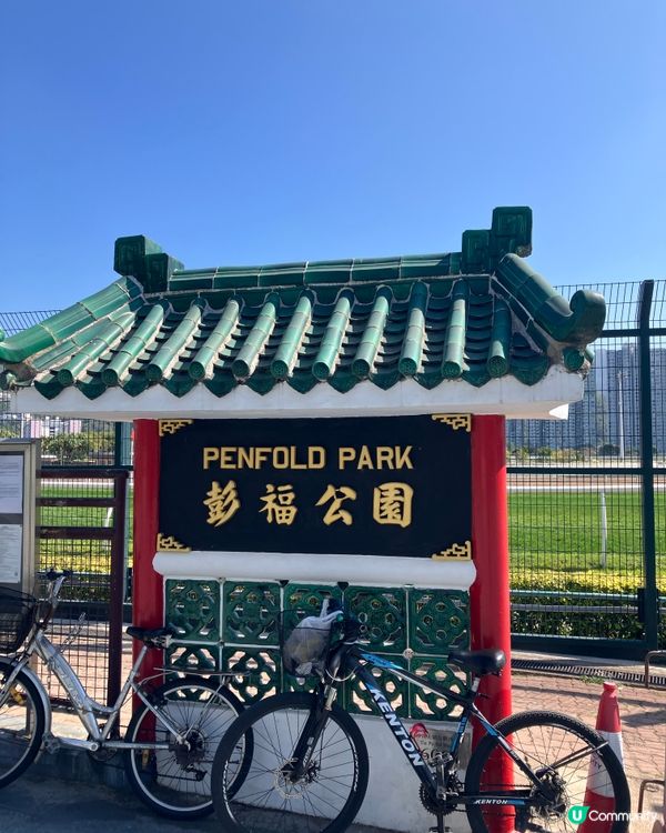 體驗沙田馬場的樂趣