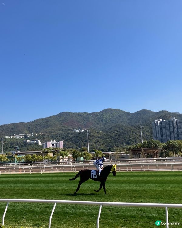 體驗沙田馬場的樂趣