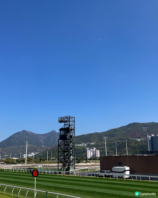 體驗沙田馬場的樂趣