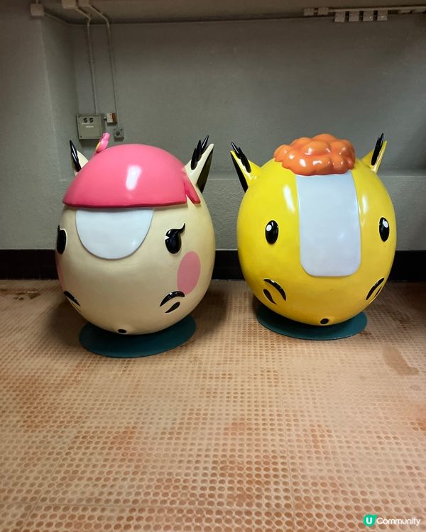 體驗沙田馬場的樂趣