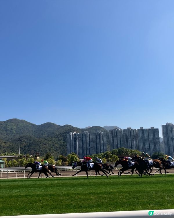 體驗沙田馬場的樂趣