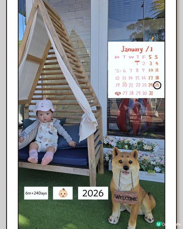 沙田麗豪酒店～月光光🤤性價比高！