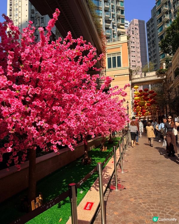  🏮 利東街新年氣氛 💯 ✨