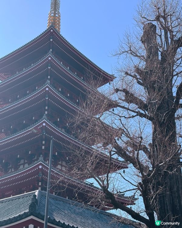 淺草和服體驗📸👘