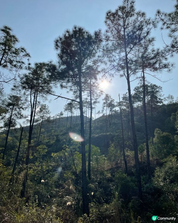 【冬季行山】貓仔山遊歷記