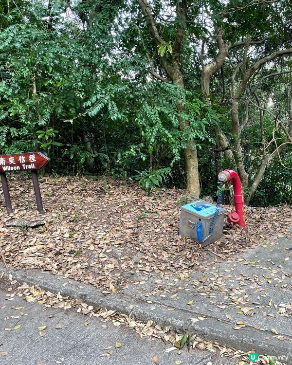 【冬季行山】貓仔山遊歷記