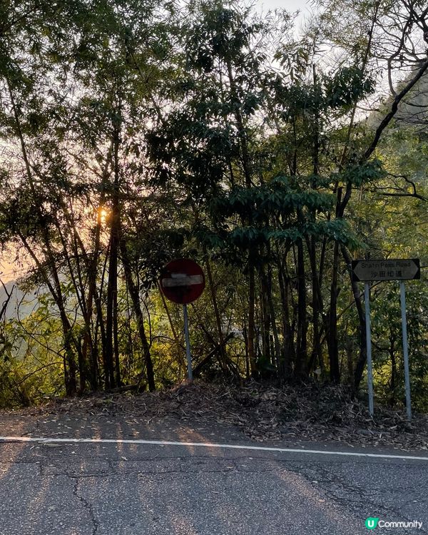 【冬季行山】貓仔山遊歷記