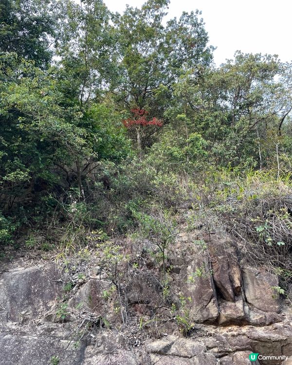 【冬季行山】貓仔山遊歷記