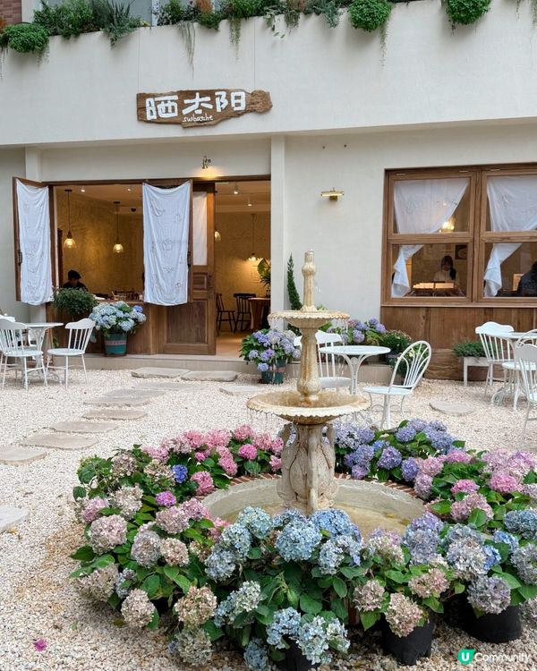 深圳福田區靚靚新cafe☕️