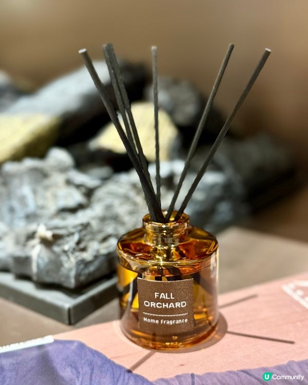 🧧✨ 送舊迎新 mode ON!長期愛用者真心推介 🧹✨