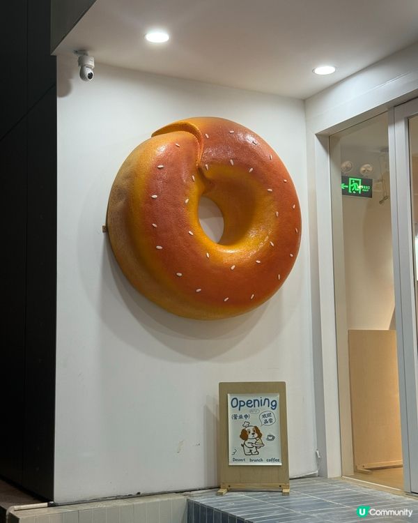 深圳南山區韓風cafe🐶
