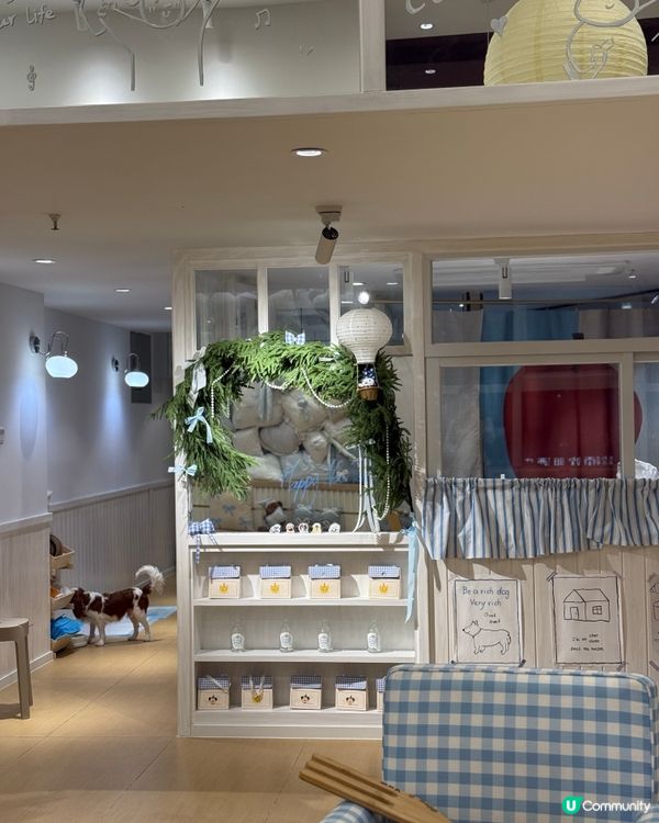 深圳南山區韓風cafe🐶