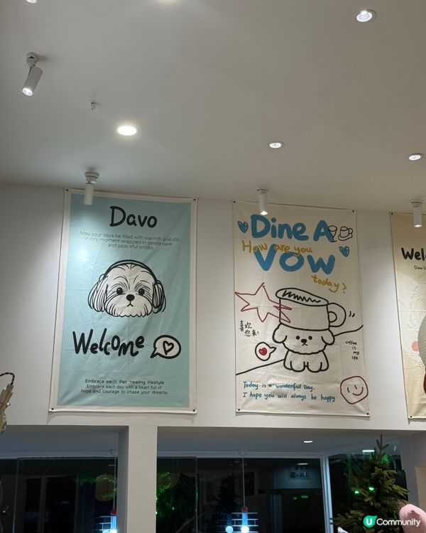 深圳南山區韓風cafe🐶