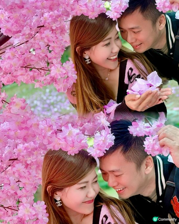 💖粉紅仙境～🌸漫天櫻花拍拖打卡聖地@北角匯❣️