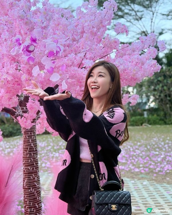 💖粉紅仙境～🌸漫天櫻花拍拖打卡聖地@北角匯❣️