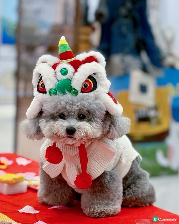 💖粉紅仙境～🌸漫天櫻花拍拖打卡聖地@北角匯❣️