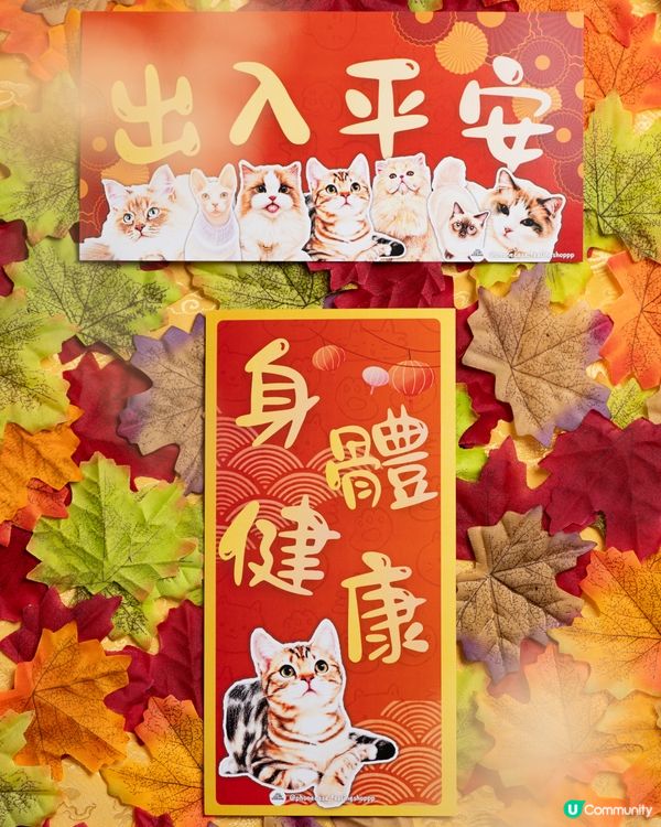 美國短毛貓㊗️你馬年身體健康､出入平安‼️