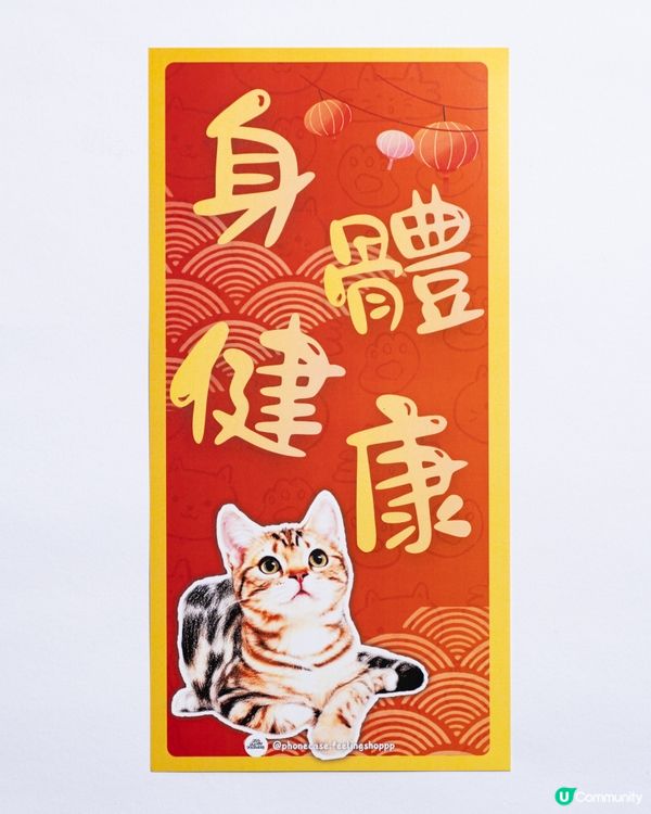 美國短毛貓㊗️你馬年身體健康､出入平安‼️