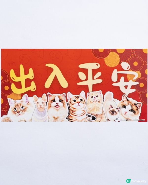 美國短毛貓㊗️你馬年身體健康､出入平安‼️