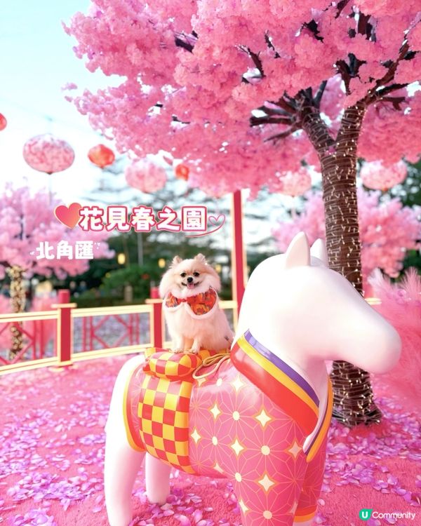 北角匯「花見春之園」必打卡！