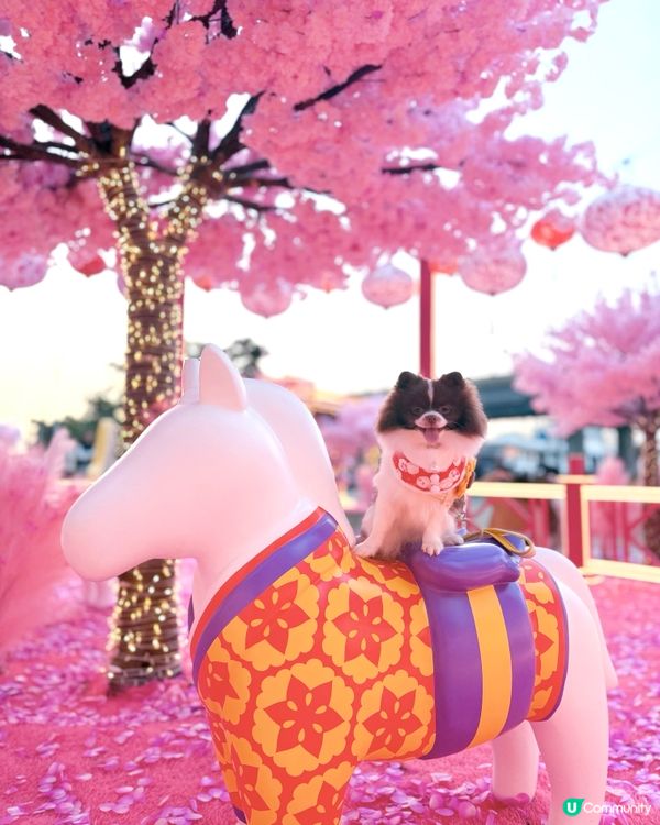 北角匯「花見春之園」必打卡！