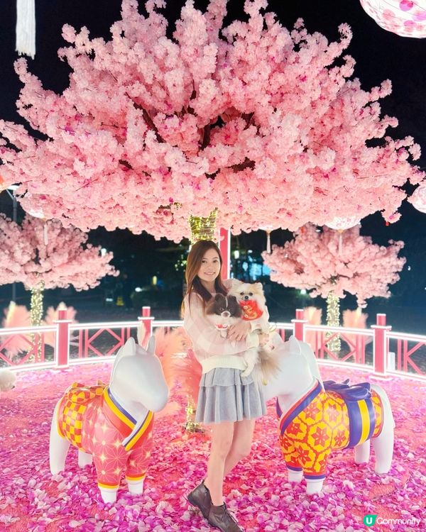 北角匯「花見春之園」必打卡！