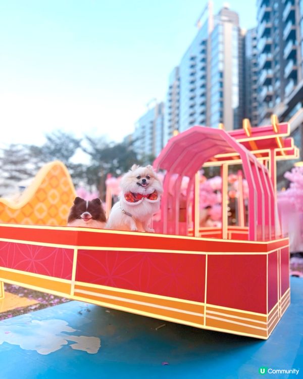 北角匯「花見春之園」必打卡！