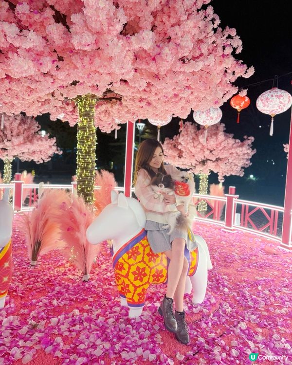 北角匯「花見春之園」必打卡！