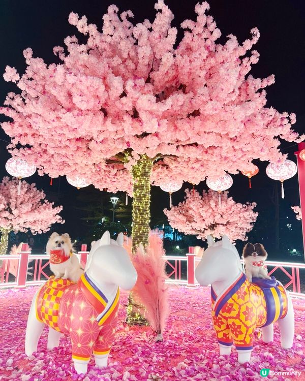 北角匯「花見春之園」必打卡！