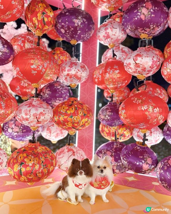 北角匯「花見春之園」必打卡！