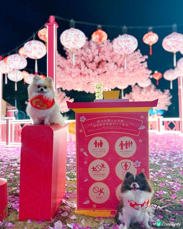 北角匯「花見春之園」必打卡！