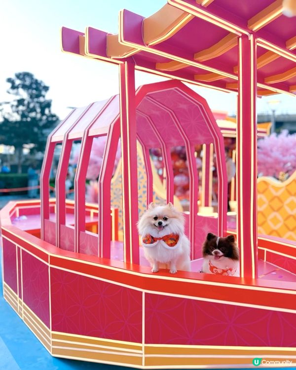 北角匯「花見春之園」必打卡！