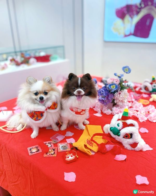 北角匯「花見春之園」必打卡！