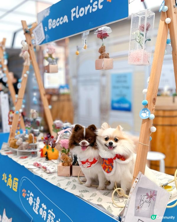 北角匯「花見春之園」必打卡！