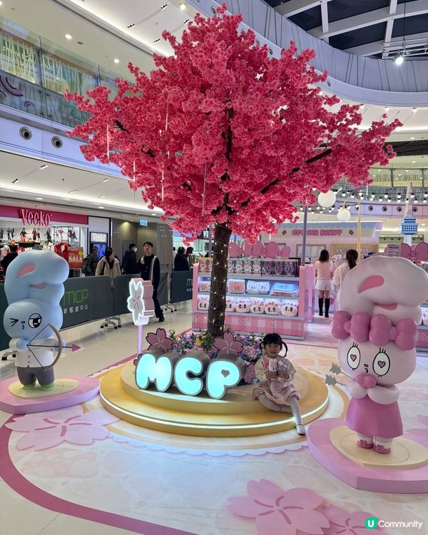 情人節+新年！櫻花鐵道浪漫遊🌸💖