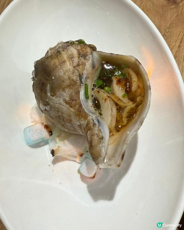 日式爐端燒🔥深圳新發現！🤤