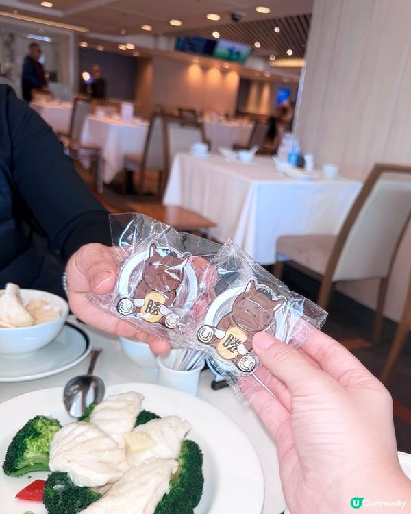 沙田馬場🐎馬年財來運起，百勝廳🐴🪭