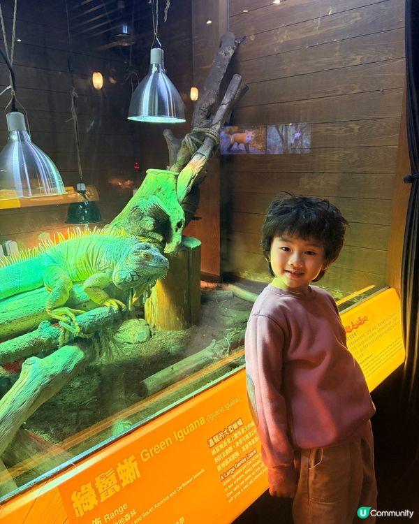 Noah’s Ark - 認識聖經故事一日游