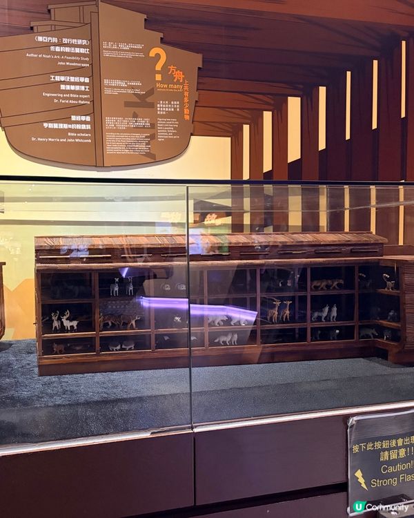 Noah’s Ark - 認識聖經故事一日游