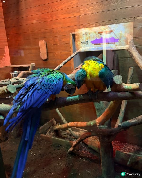 Noah’s Ark - 認識聖經故事一日游