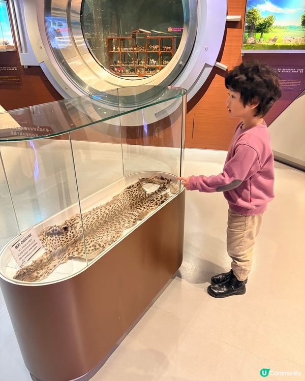 Noah’s Ark - 認識聖經故事一日游